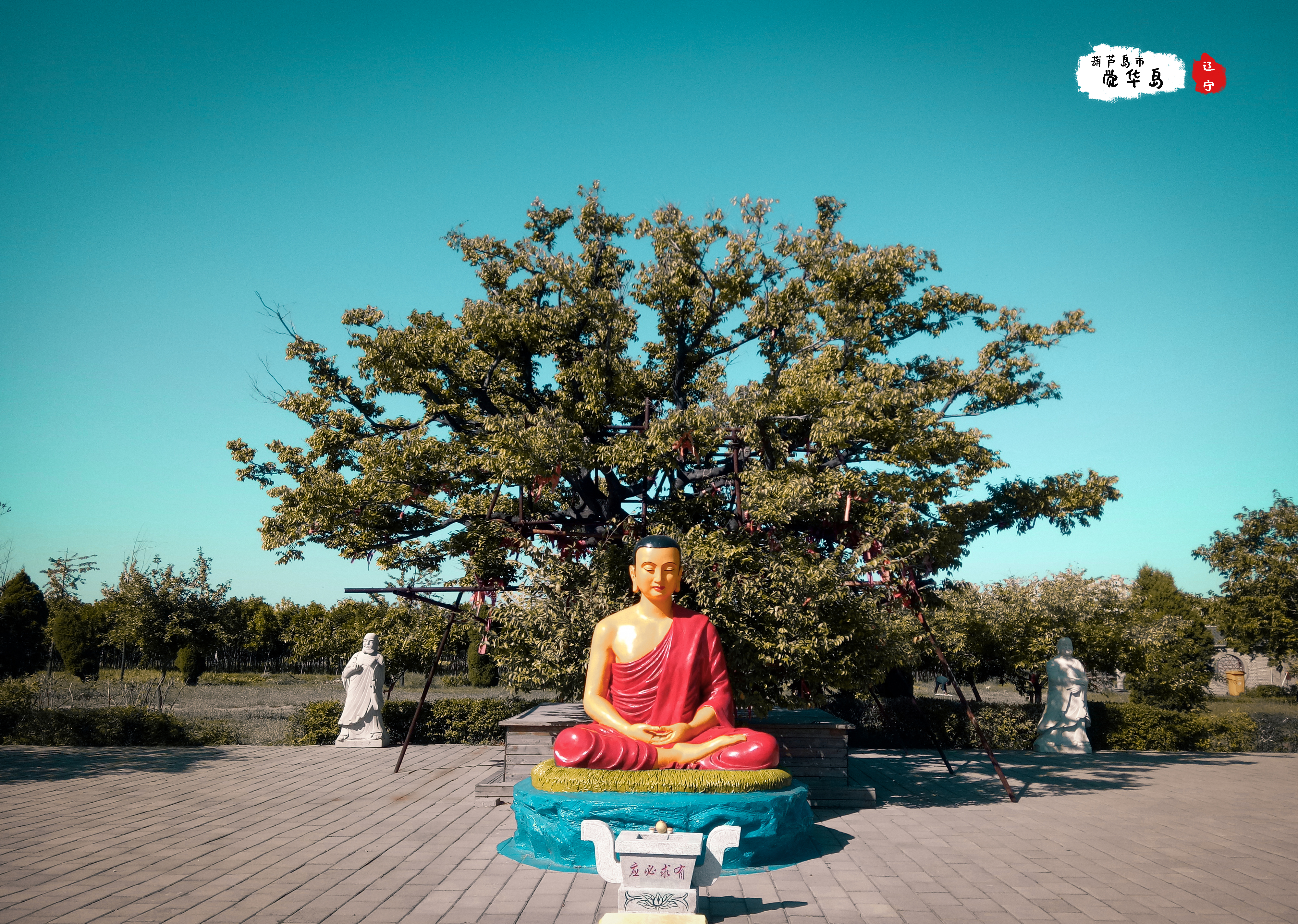 觉华岛好还是磨盘山岛好,国内海岛游哪里性价比高