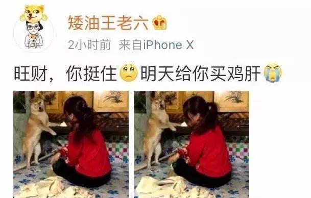 网友发不小心弄坏了女朋友口红怎么办。。。哈哈笑翻了