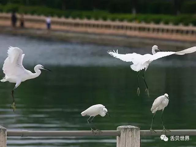 厦门瑜伽展,2024厦门瑜伽节有哪些课程