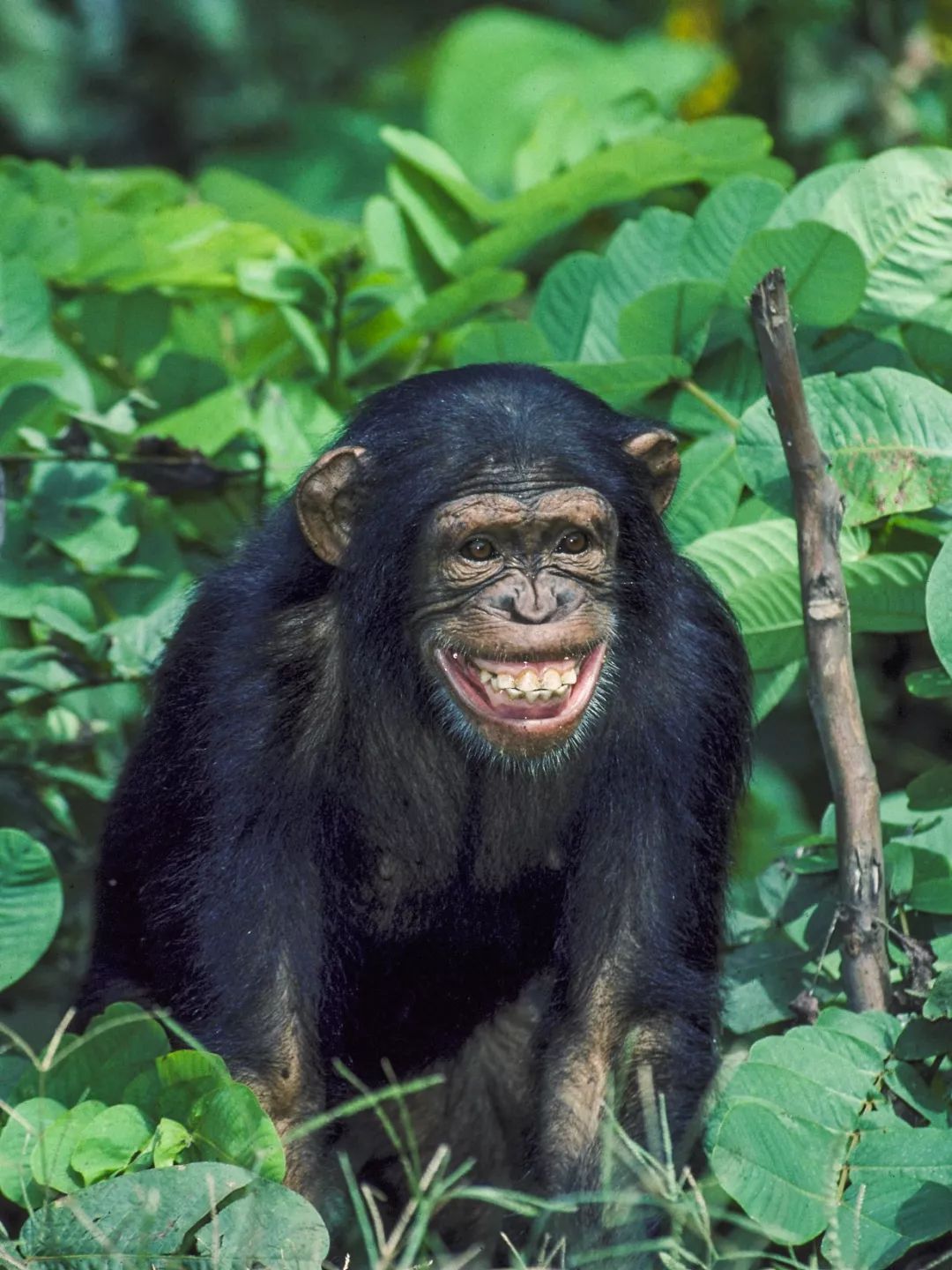 医生和病毒作战,我们如何对付病毒