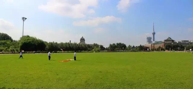 央视新闻长春破获大案,长春新区上央视新闻