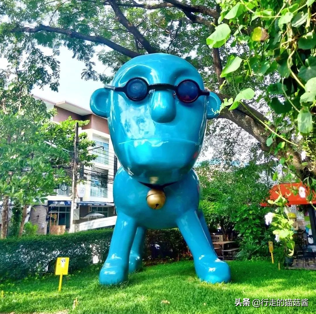 清迈吃喝住行自驾攻略,2019清迈吃住攻略