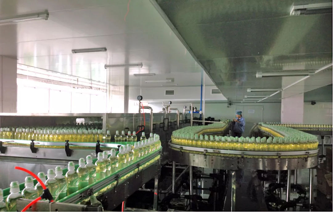 跨越20年的芦荟情谊