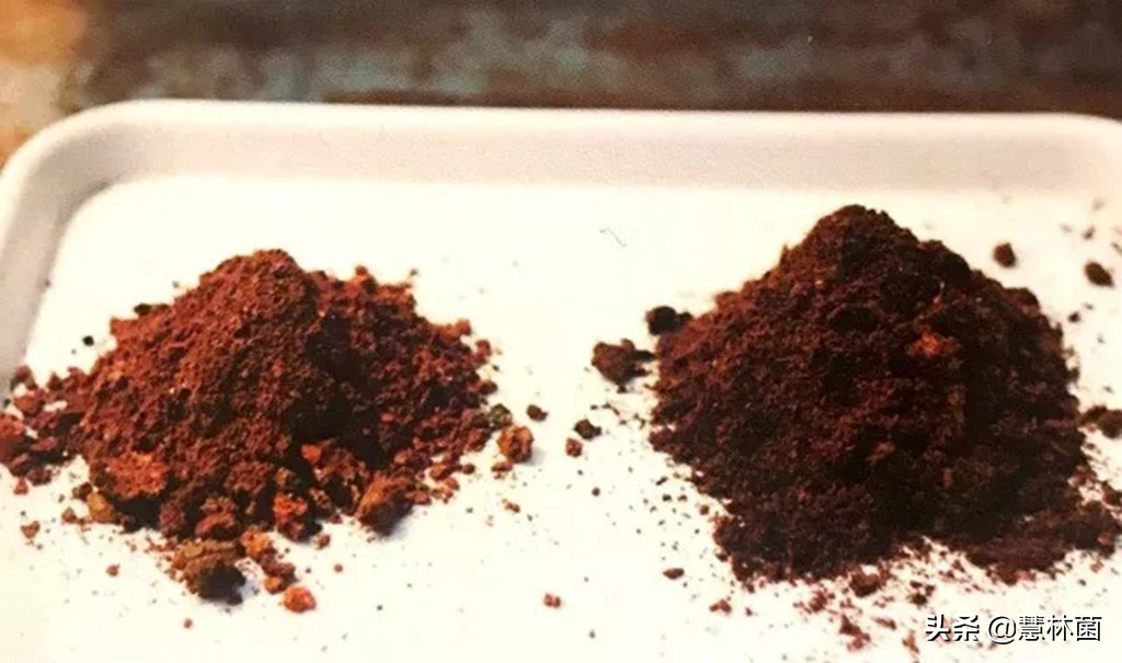 不同的多肉配不同的土，多肉配土秘籍大全