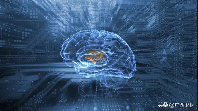 大脑被开发到100有多厉害,最强大脑是怎样炼成的