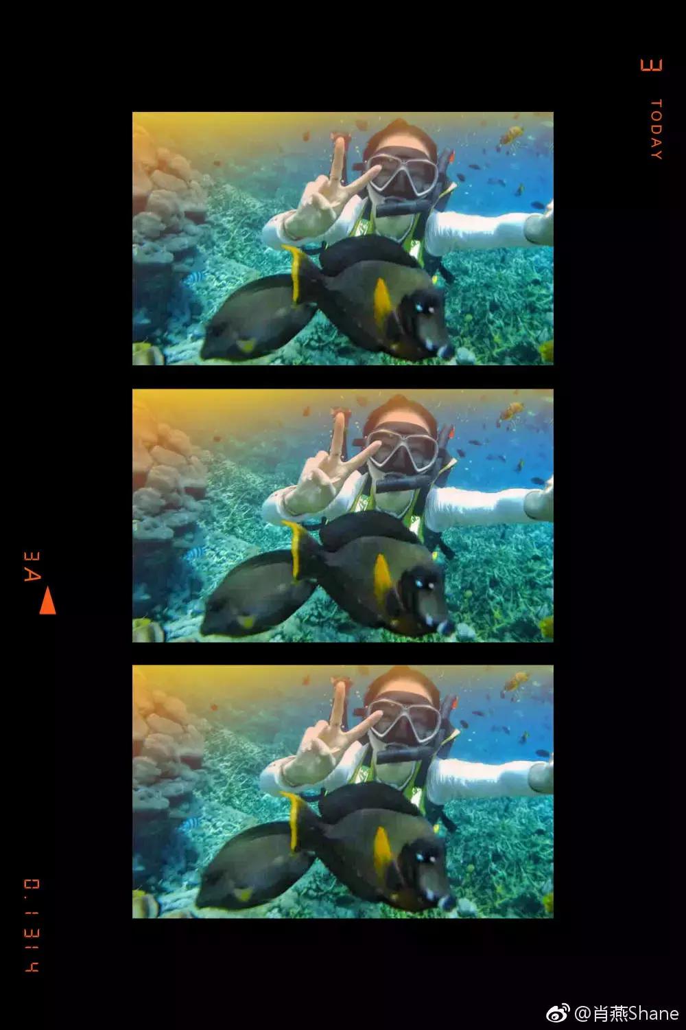 肖燕版小青蛇,肖燕演的小青蛇