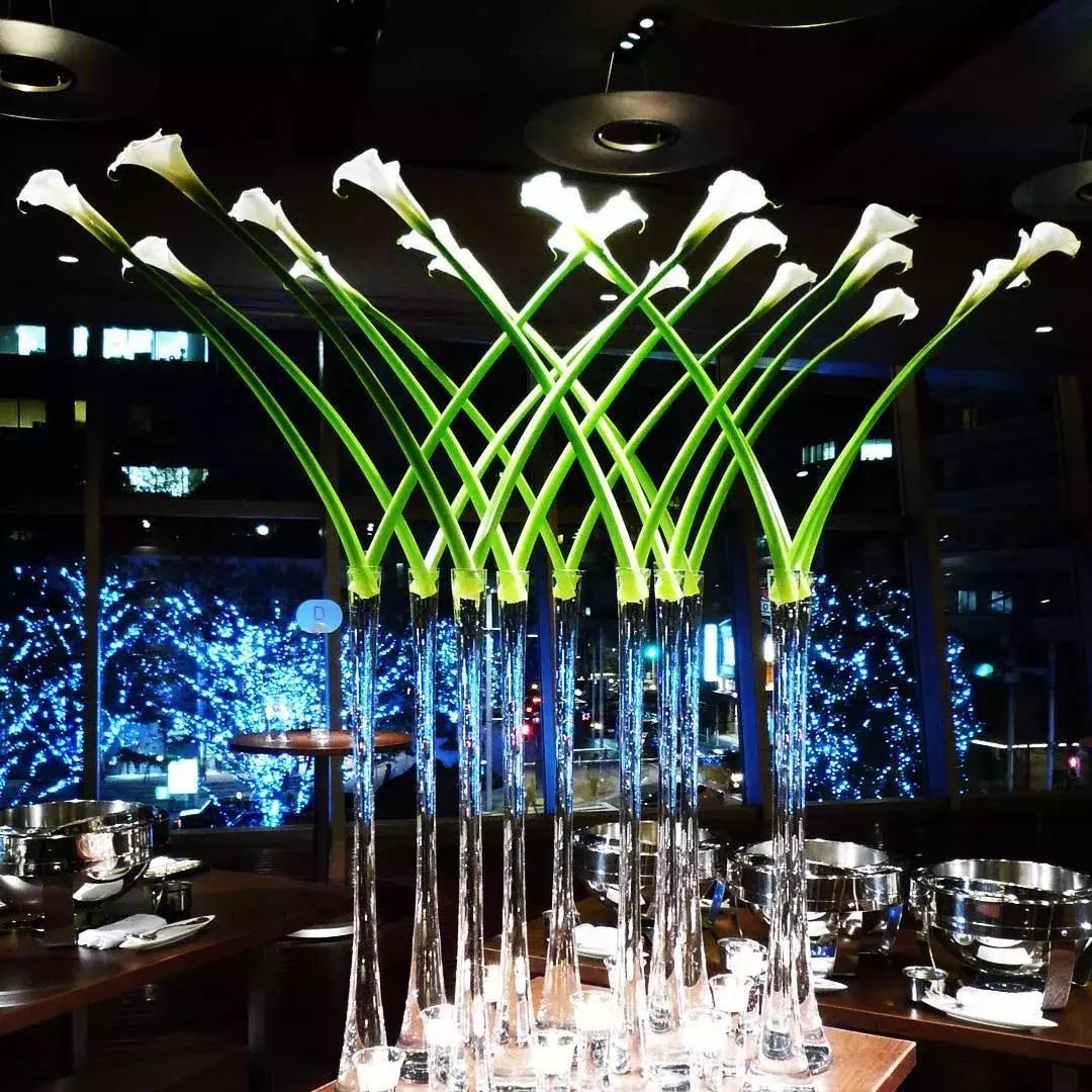 马蹄莲插花怎么养时间长,马蹄莲鲜花养护