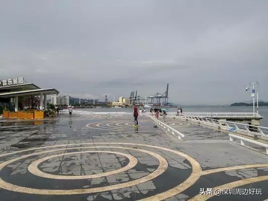 深圳白天游玩公园景点推荐,深圳红树林公园日落