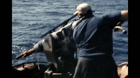 豆瓣2.5分神作,豆瓣9.5分的神作不该如此小众