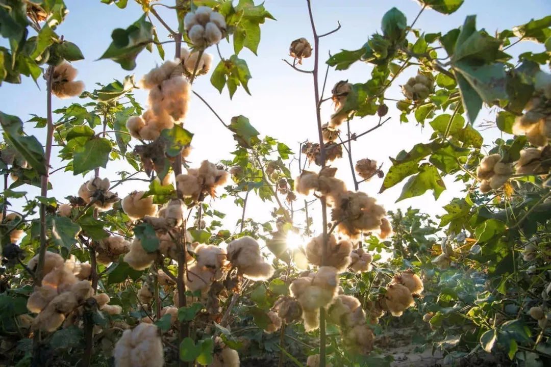 耐克最新全球业绩,耐克季度下滑