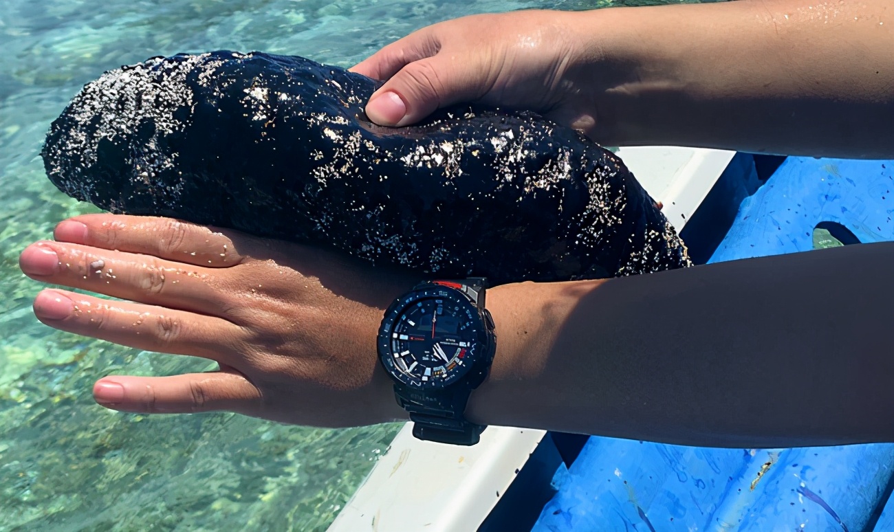 西沙群岛渔船海钓之旅,西沙群岛海钓游