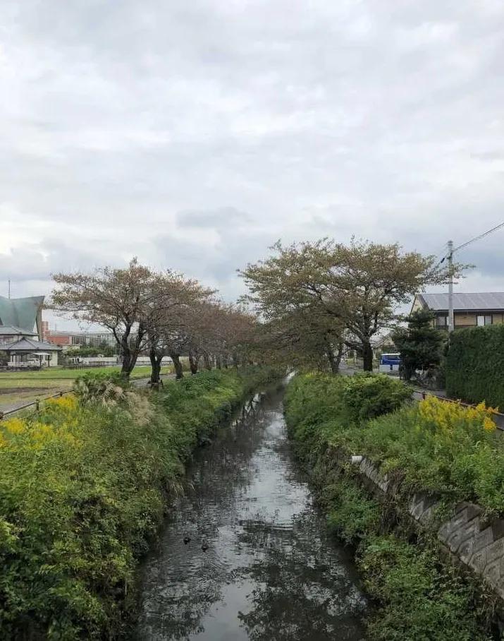 日本只有东京的房子,日本东京农村