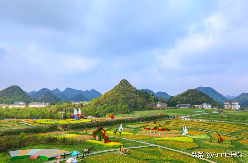 百里杜鹃花开如海,百里杜鹃百里盛开