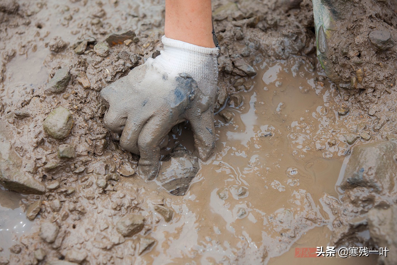 暑假自驾游海边旅游攻略,暑假国内自驾游最佳路线