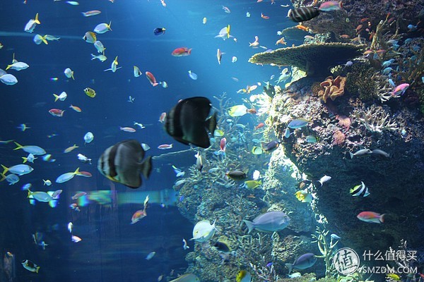 海滩沙地游戏攻略,超级沙滩冒险游戏攻略