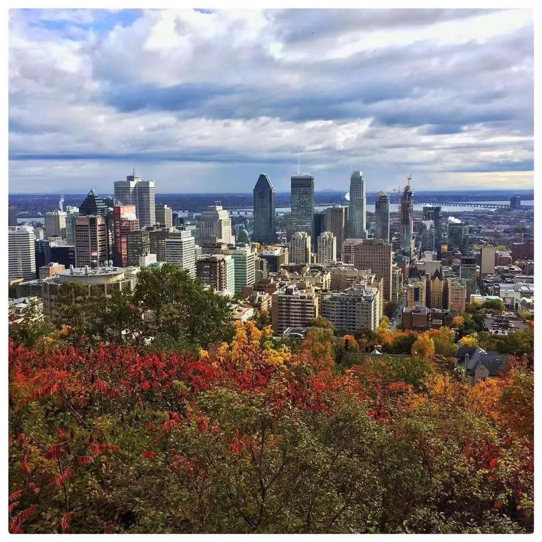 安徽一个不知名的小县城蒙城,安徽皖北第一城蒙城