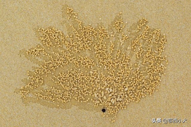 平潭祖国大陆离台湾最近的地方,福建和平潭岛一样漂亮的地方