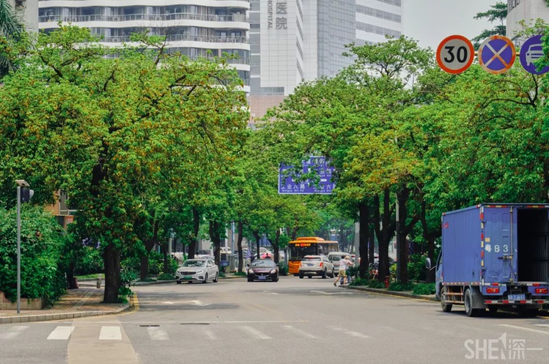 深圳蛇口前世今生,深圳蛇口有怎样的辉煌历史