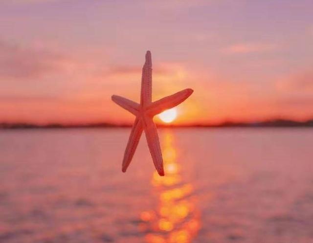 简单又暖心的晚安心语，经典温馨，愿美梦治愈你的难过！