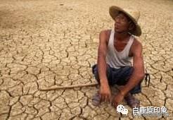 白鹿原中的风土人情,白鹿原上的生活记忆