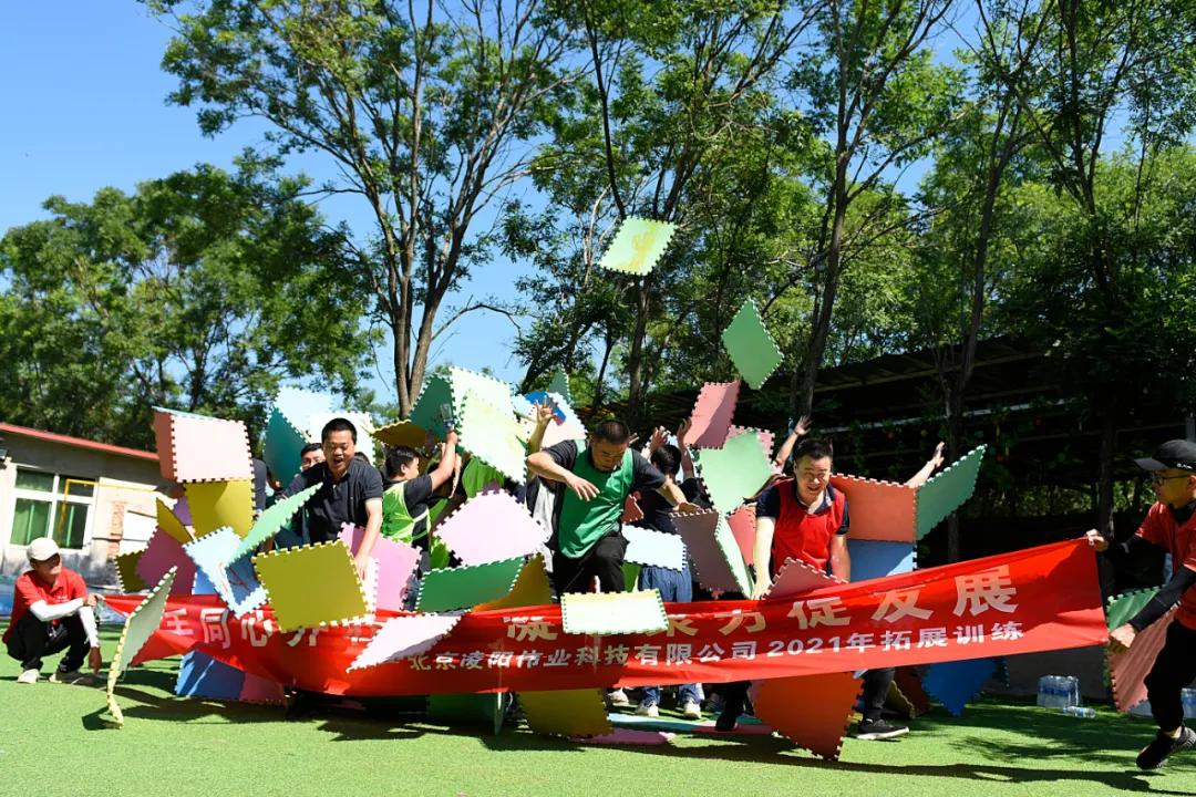 凌阳科技有限公司,凌阳科技单片机