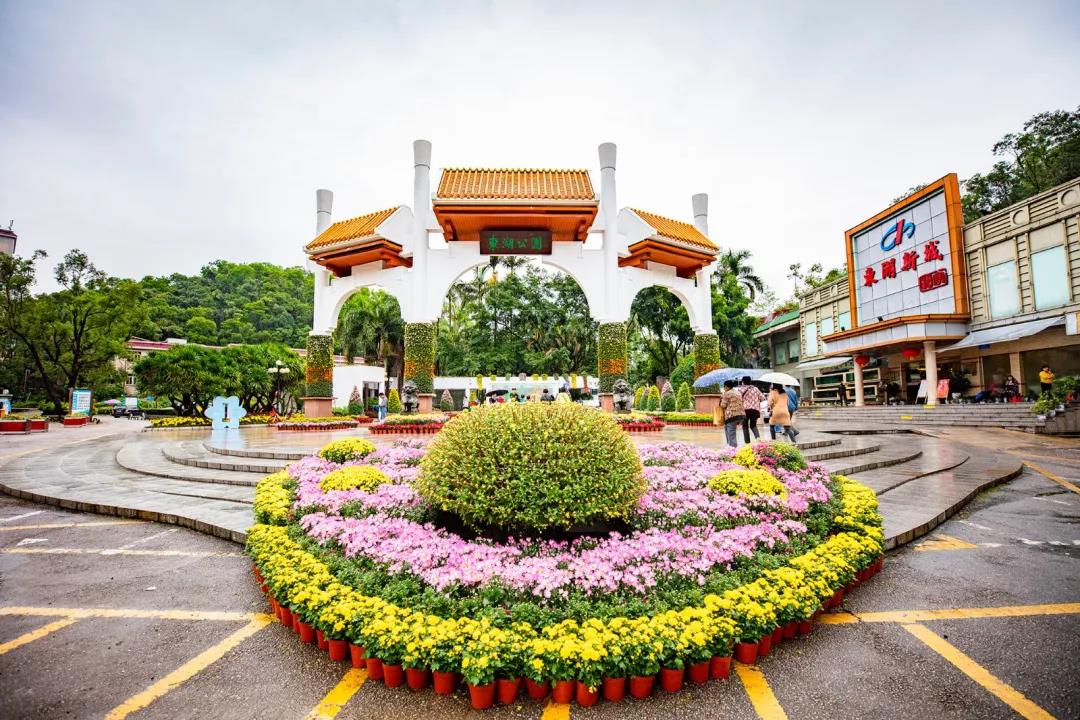 深圳东湖公园菊花展最新消息,深圳东湖公园菊花展主展在哪里