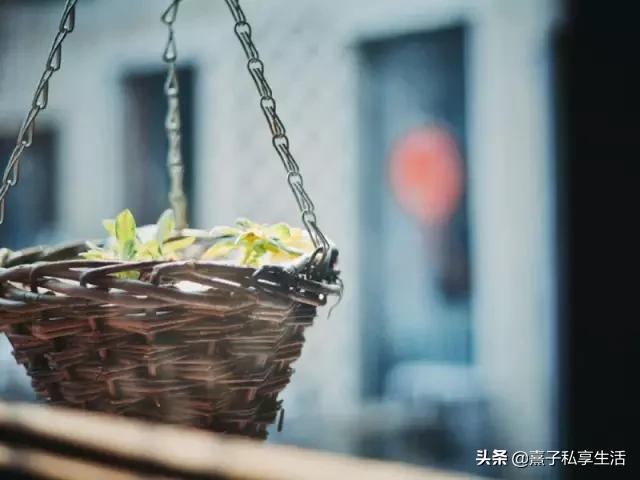 怎么打造低成本花园,怎么用几十元造花园