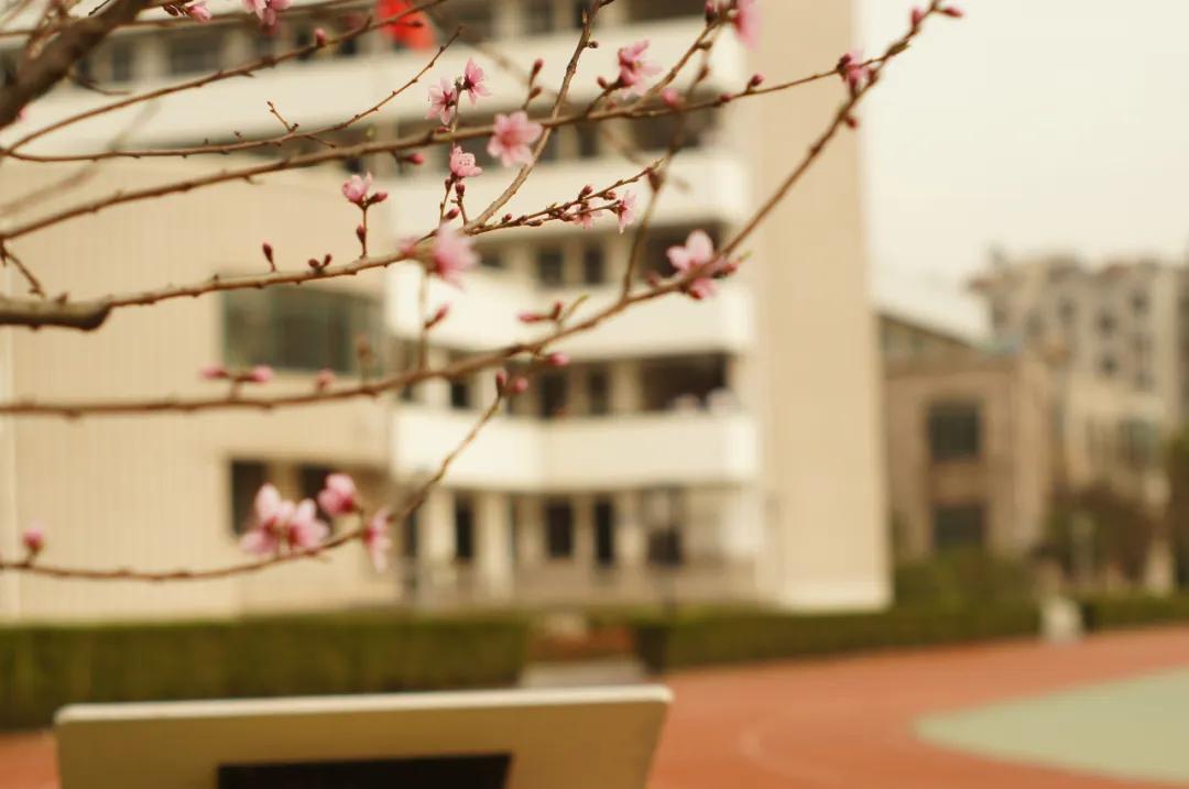 十三中分校老校区,十三中最好分校