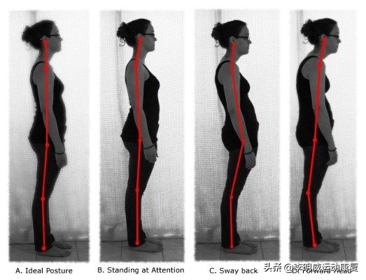 腰痛的人应该怎样的姿势睡觉,腰痛的正确坐姿屁股要翘着吗