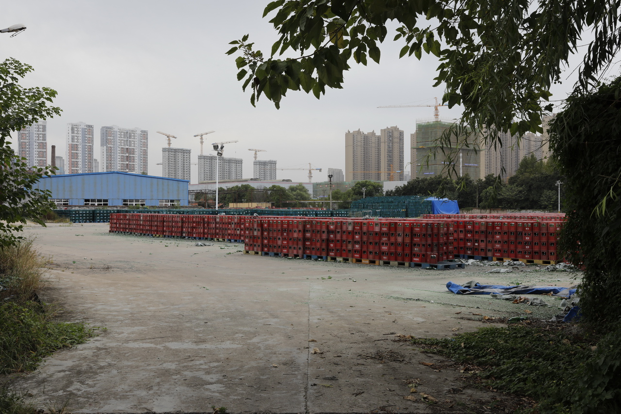 湖北武汉东西湖雪花啤酒,武汉东西湖华润雪花啤酒厂怎么样