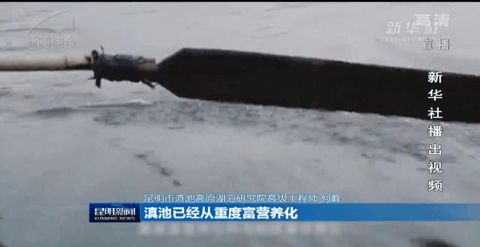 滇池昆明湖,昆明滇池的鱼现在怎么样了