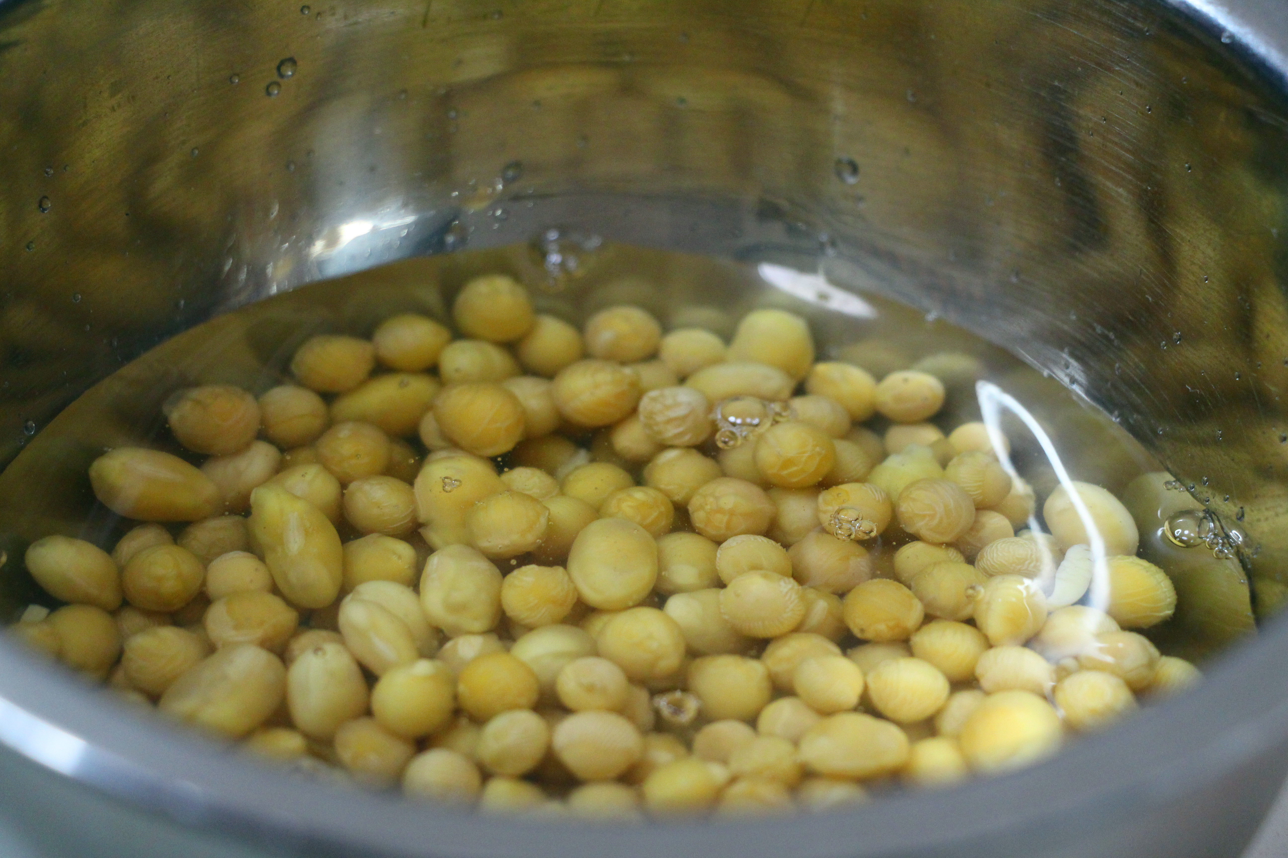 做豆浆黄豆要泡多少时间,做豆浆黄豆需要泡吗