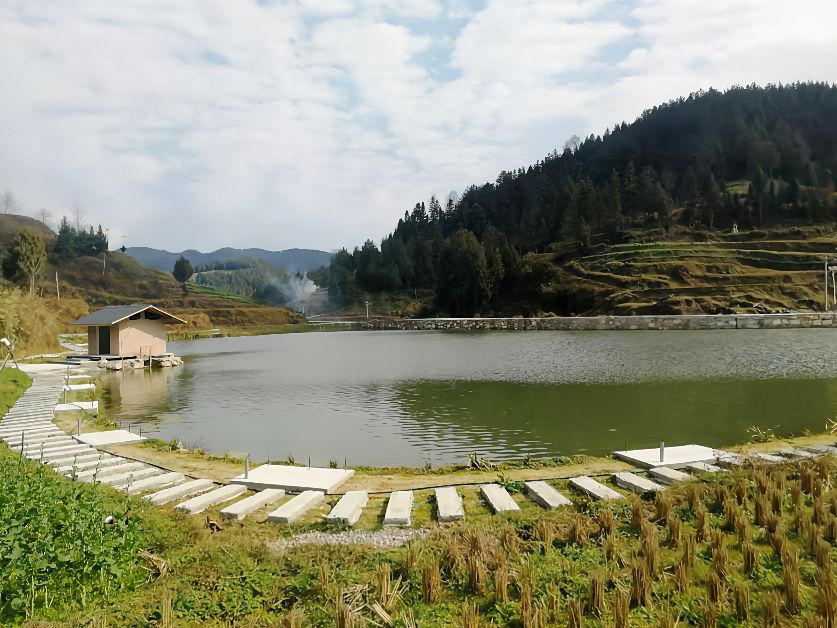 贵州铜仁阡城莲花谷农业专业合作社诚邀您加盟双惠互利共赢