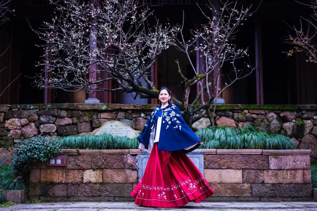 杭州孤山梅园图片,杭州赏梅园