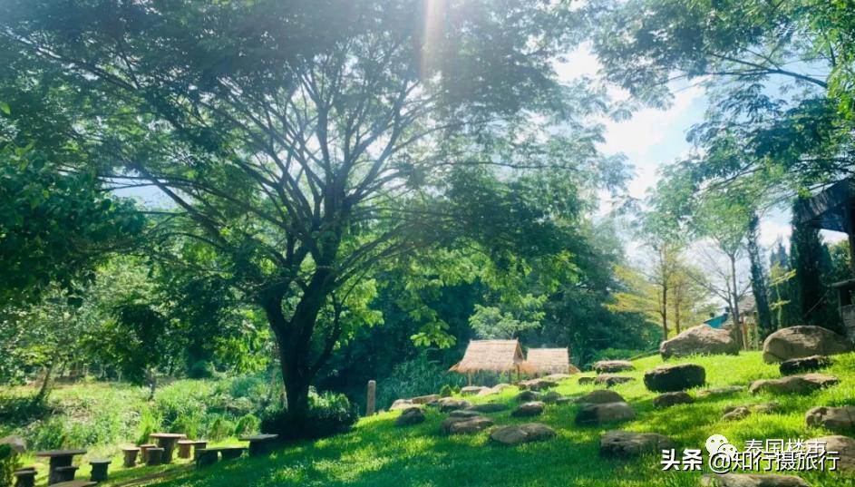 清迈一定要去的咖啡店,打卡泰国清迈6家瀑布咖啡馆