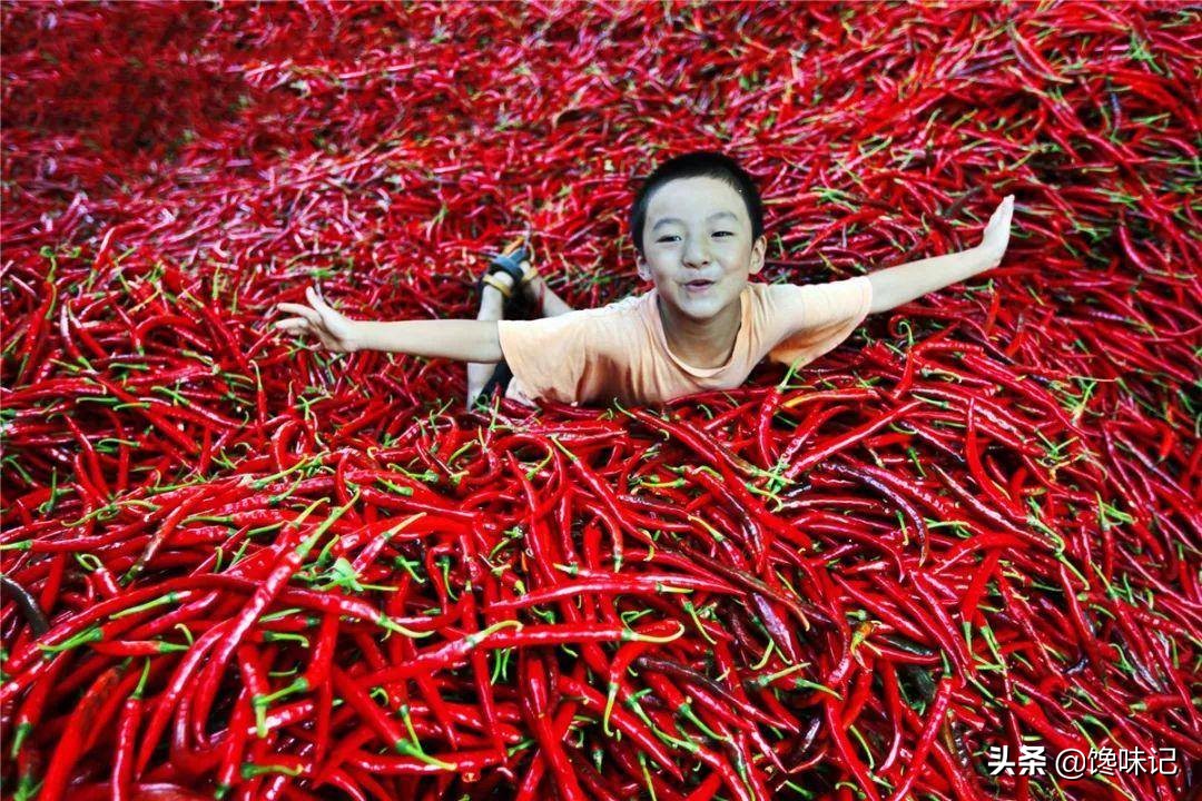 湖南人和广东人都知道的地方,湖南和广东人哪个最多