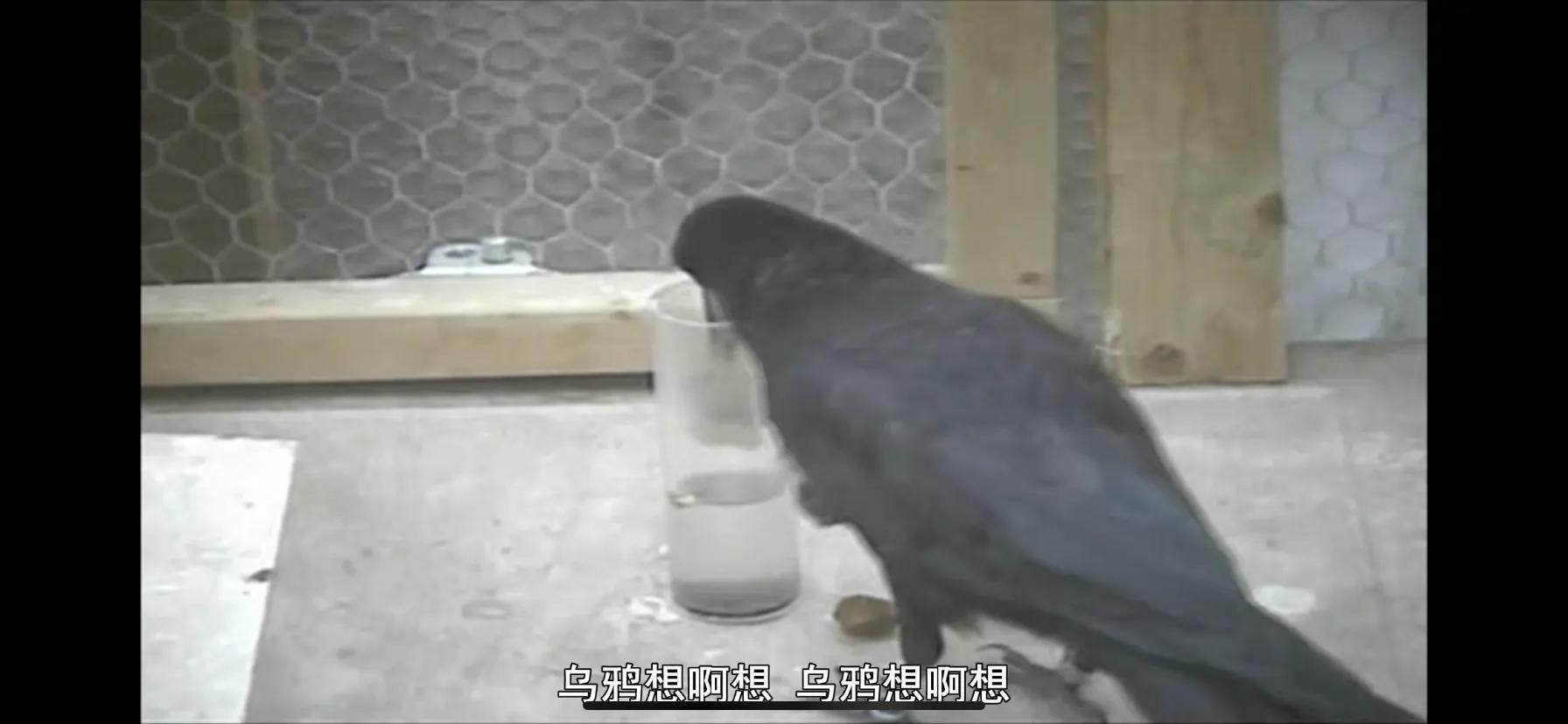 推荐日本训练孩子思维的书籍,可以让孩子提高认知的书