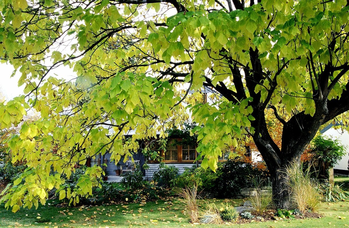 微小说意料,微小说意外的休妻