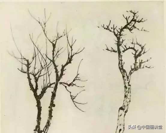 缠枝、挺杆、屈节、钮裂、一棵树如何画?看了这篇你绝对能学会