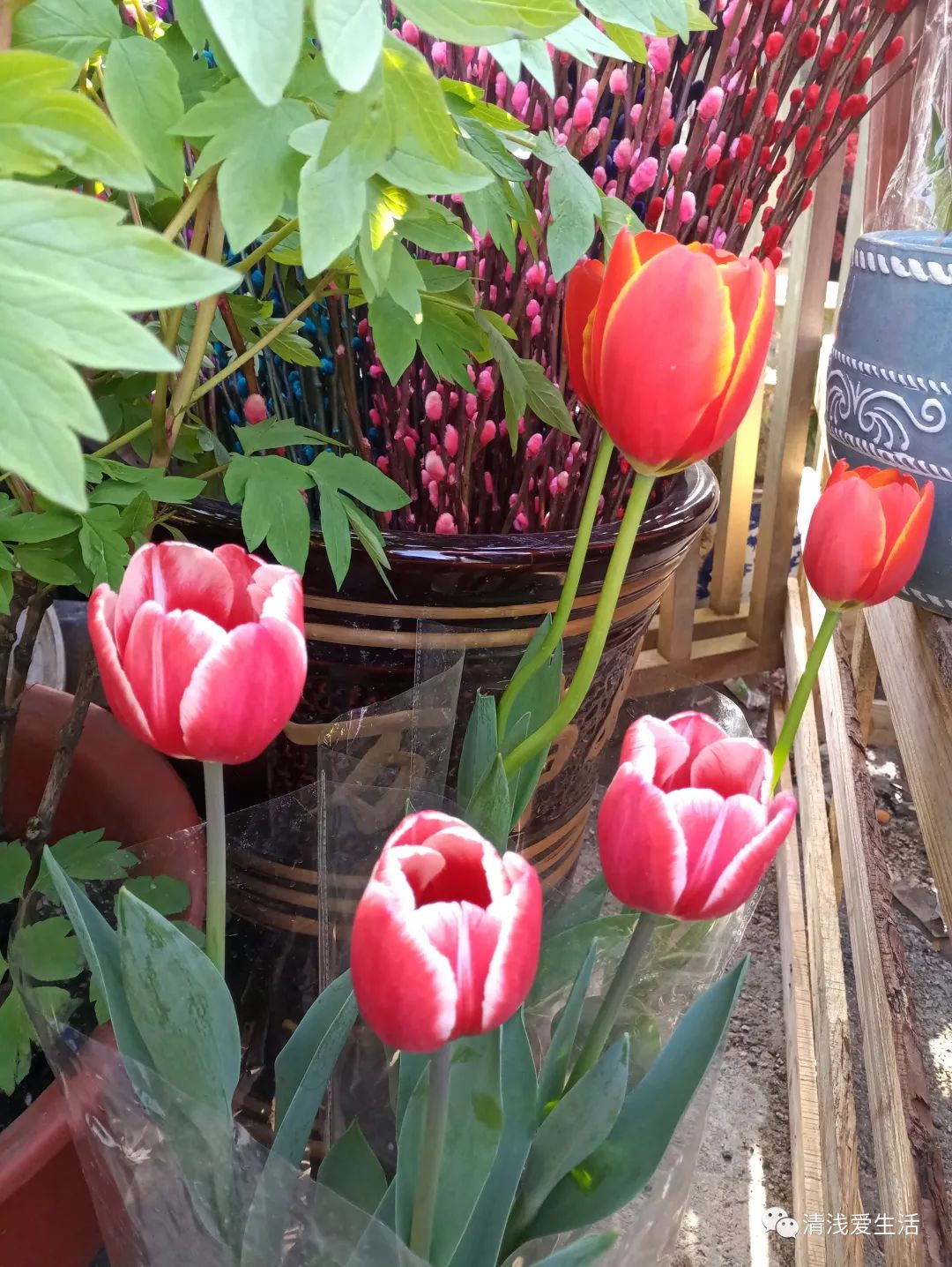 年味十足的花店,花店年味十足