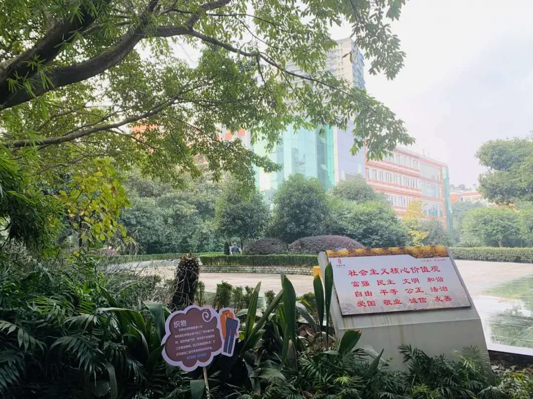 重庆哪所学校环境最好,重庆最美学校