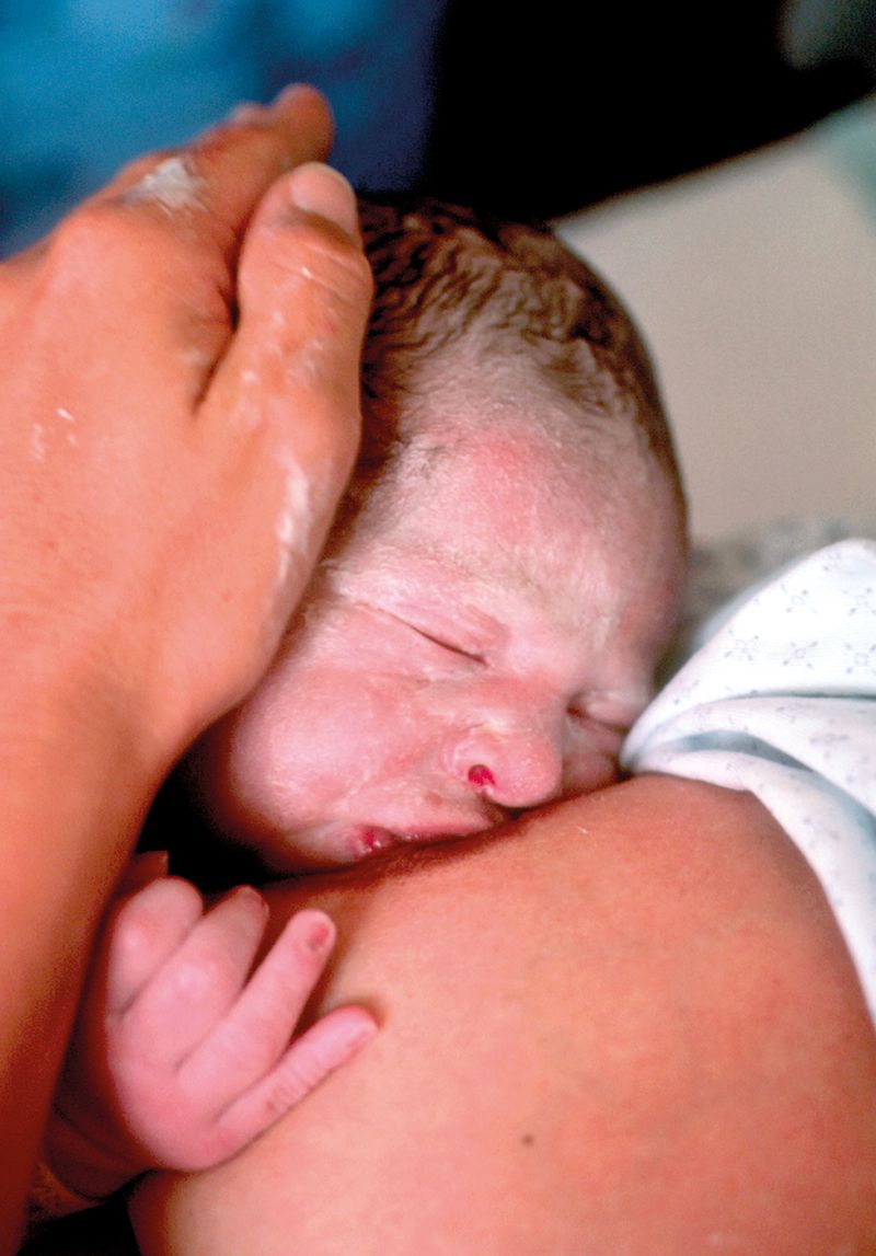 成人和儿童的肠道菌群有什么区别,儿童肠道菌群如何影响大脑发育