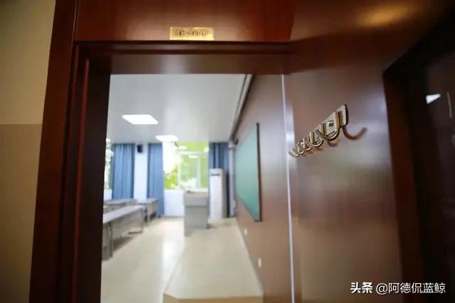 南中医怎么样,南中医专业