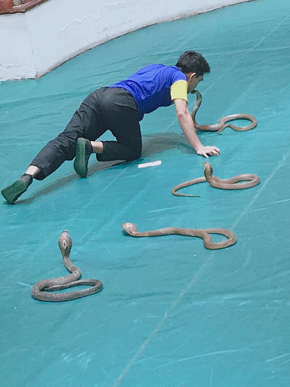 有什么事是你去了泰国才知道的,去了泰国回来就变样了