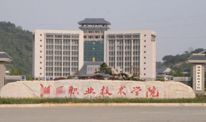 专科现在都称职业技术学院吗,职业技术学院与高等专科的区别