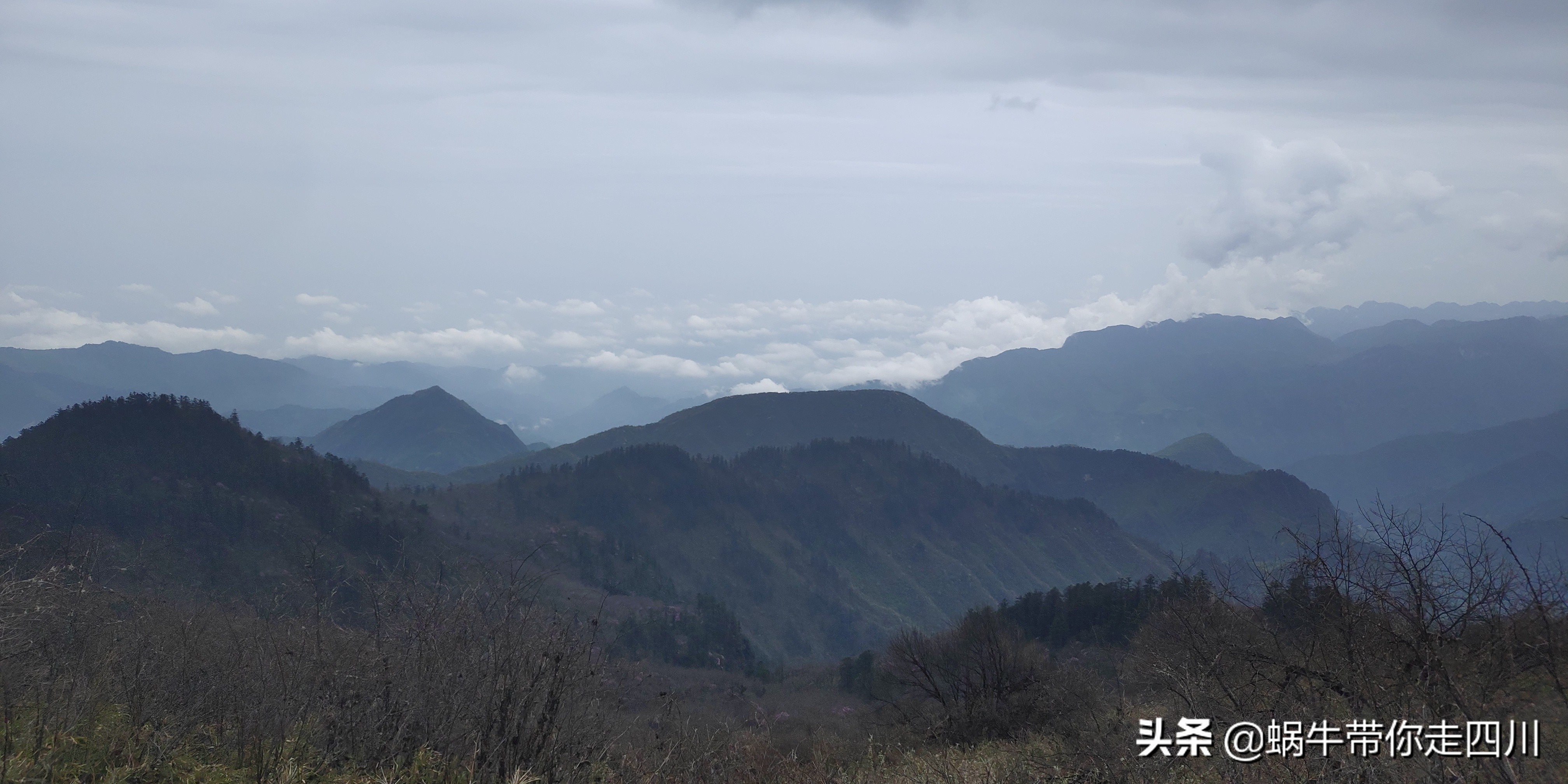 成都去西岭雪山两天一夜旅游团,成都出发雪山旅游