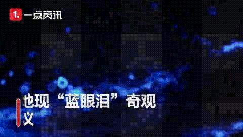 疑因喝假奶粉致智力残疾,假奶粉致婴儿残疾案开庭