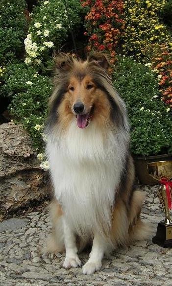 letsgo带你去兜风,letsgo旅行视频