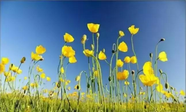 通辽好玩的景点排行榜,通辽霍林河景色