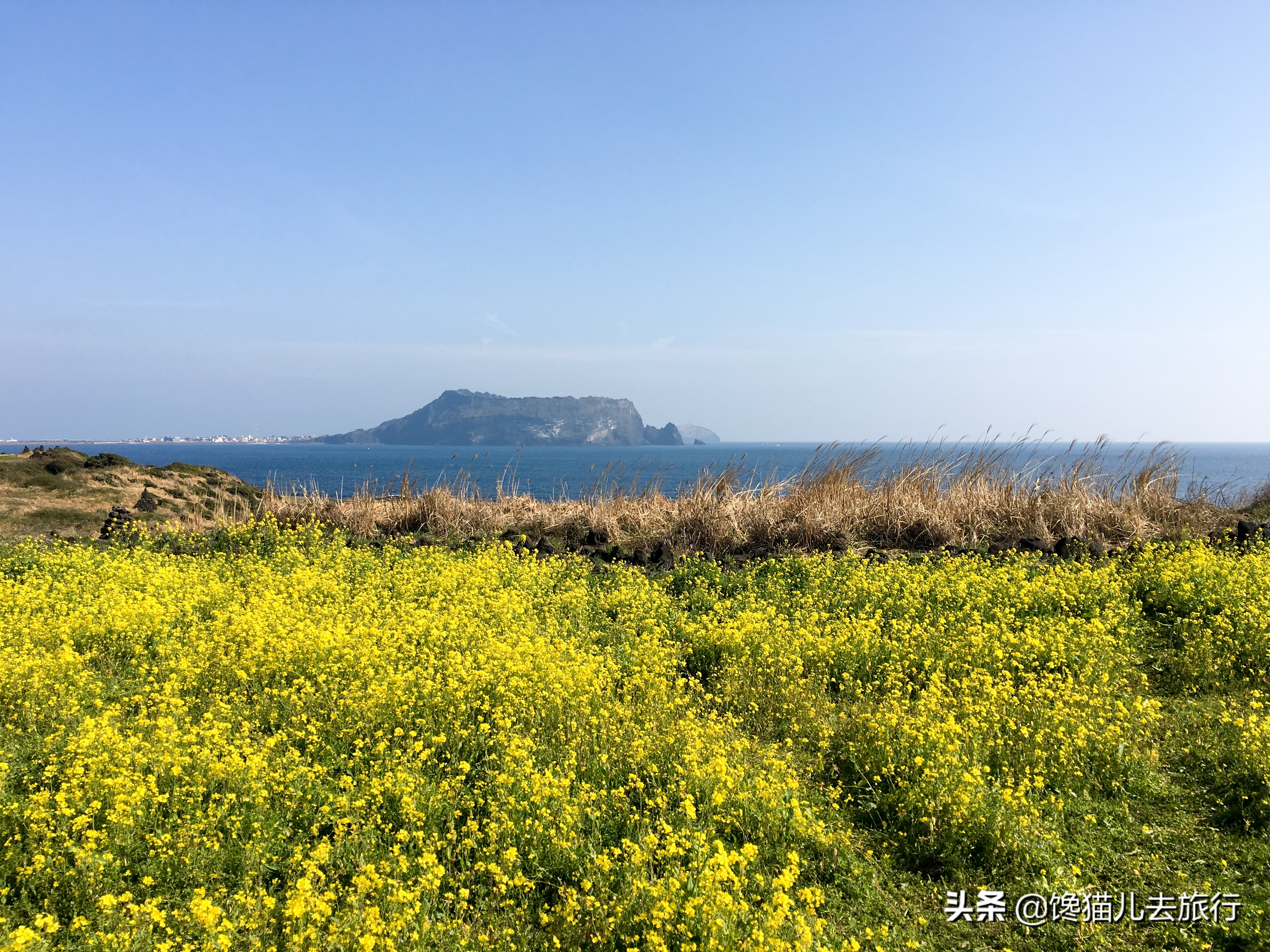 韩国济州岛汗蒸馆,韩国汗蒸馆中文解密